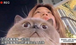 粉色的猫吃瓜,探寻猫咪与瓜果的奇妙缘分
