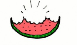 wifi吃瓜,揭秘网络时代的娱乐新潮流