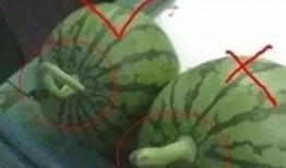 过日子吃瓜,品味日常饮食的美好时光