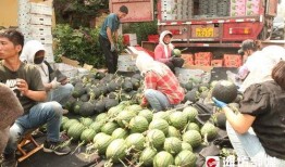 前沿吃瓜3,揭秘娱乐圈最新热点事件