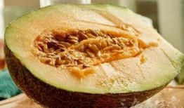 孕期吃哈密瓜可以吃吗,孕期适量食用哈密瓜的安全性探讨