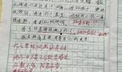 吃瓜400字作文,一场网络事件的众生相