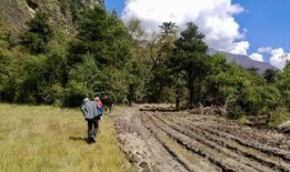 南山与山南吃瓜,一场别开生面的吃瓜盛宴