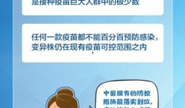 苏州疫情吃瓜文案,揭秘背后的故事与真相