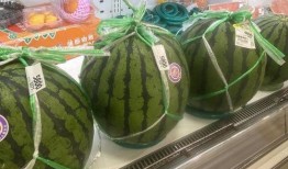 华强的吃瓜基地,揭秘娱乐圈幕后风云