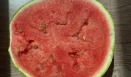 吃瓜生糊,揭秘美食背后的趣味故事