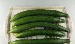 吃瓜钻桌,揭秘餐桌上的趣味瞬间