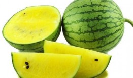 南充甜夜吃瓜,一场别开生面的吃瓜盛宴