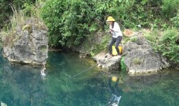 吃瓜碧水深潭,揭秘吃瓜群众背后的碧水深潭