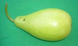 吃蒲瓜防癌吗,天然防癌佳品揭秘