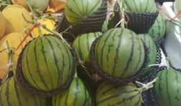 小硕吃瓜,揭秘娱乐圈那些不为人知的幕后故事