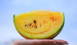 红瓜可以吃,美味与营养的完美结合