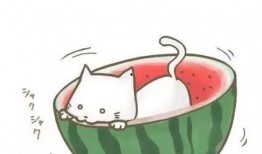 吃瓜漫画充值无效