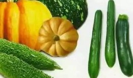 立春为什吃瓜,为何传统习俗中要吃瓜？探寻民间智慧与食俗渊源