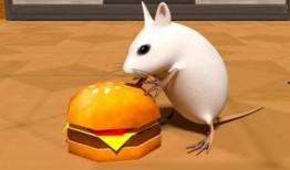 学生模仿老鼠吃瓜,趣味横生的校园生活瞬间