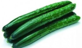 健身吃瓜,健康生活新风尚