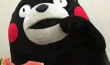 吃瓜的小问号,揭秘吃瓜小问号的趣味生活