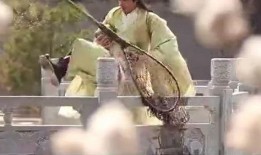 唐朝好男人们吃瓜,揭秘好男人们的热闹“吃瓜”生活