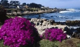 林园 吃瓜,揭秘娱乐圈背后的真相与争议