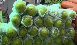 蜗牛吃葫芦瓜吗怎么吃,蜗牛食葫芦瓜的奇妙食用方法揭秘