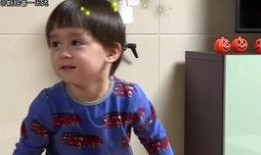 大力伦吃瓜,网络热词背后的故事与影响