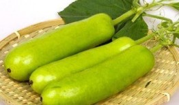 吃瓜一口闷是什么瓜,探寻流行语背后的瓜界传奇