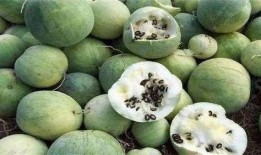 只为正义里面吃瓜,吃瓜群众眼中的风云变幻