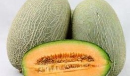 哺乳吃哈密瓜好处
