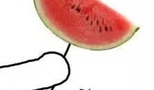 最萌吃瓜图片,萌态十足！最萌吃瓜图片大盘点