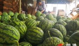 吃瓜群众分几种,揭秘不同类型围观者的众生相