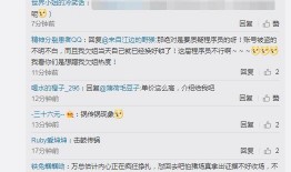 评论吃瓜回什么,巧妙应对网络热议