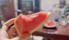 吃瓜协商会,一场别开生面的网络热议盛宴