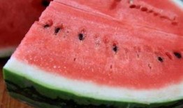 上海的瓤瓜怎样吃,解锁夏日清新美味