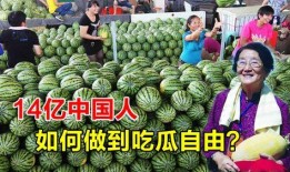 中国队吃瓜,中国队吃瓜背后的文化现象