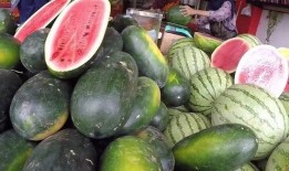 中国队吃瓜,中国队吃瓜背后的文化现象