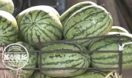 吃瓜届,一场全民参与的娱乐盛宴