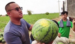 石家庄北国吃瓜,吃瓜群众的美食盛宴