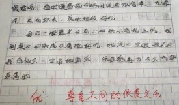 作文动物吃瓜比赛,吃瓜比赛大比拼