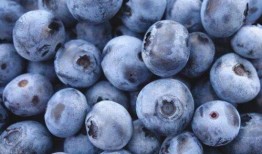 角瓜几月吃最佳时间,把握最佳食用时间，尽享美味与营养