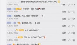 评论吃瓜回什么,巧妙应对网络热议