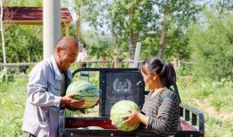 李忠义吃瓜,揭秘娱乐圈幕后故事