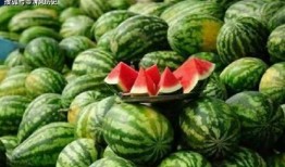 842吃瓜在哪看,观看指南与精彩内容盘点