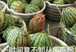 理解吃瓜,一场全民娱乐盛宴