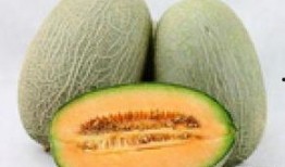 五个月宝宝吃哈密瓜泥,哈密瓜泥营养美味记”