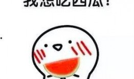 想吃瓜自己吃,自己动手，丰衣足食的美食之旅