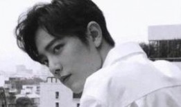 天涯吃瓜肖战,从天涯吃瓜到现象级明星的蜕变之路