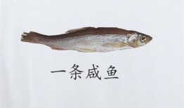 吃瓜咸鱼之王,网络红人的崛起与影响力