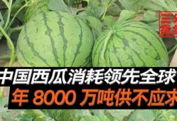 中国队吃瓜,中国队吃瓜背后的文化现象