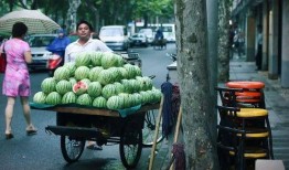 明德路吃瓜,一场热闹非凡的吃瓜盛宴