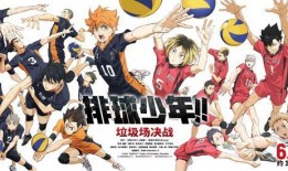 排球少年吃瓜吧唧价格,吃瓜吧唧价格揭秘，带你领略排球魅力